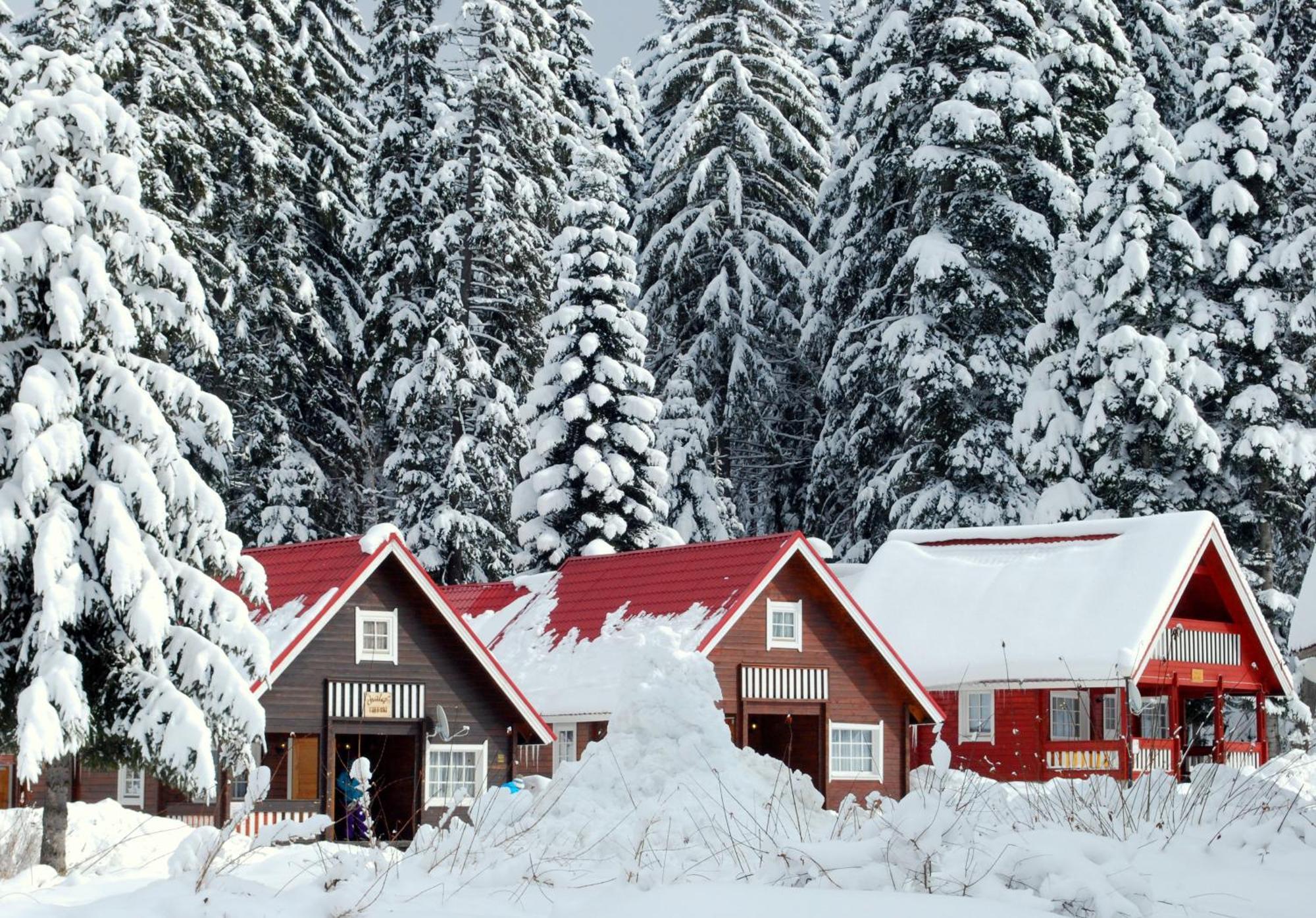 Alpine Ski Chalet Borovets With Sauna Villa Exterior photo