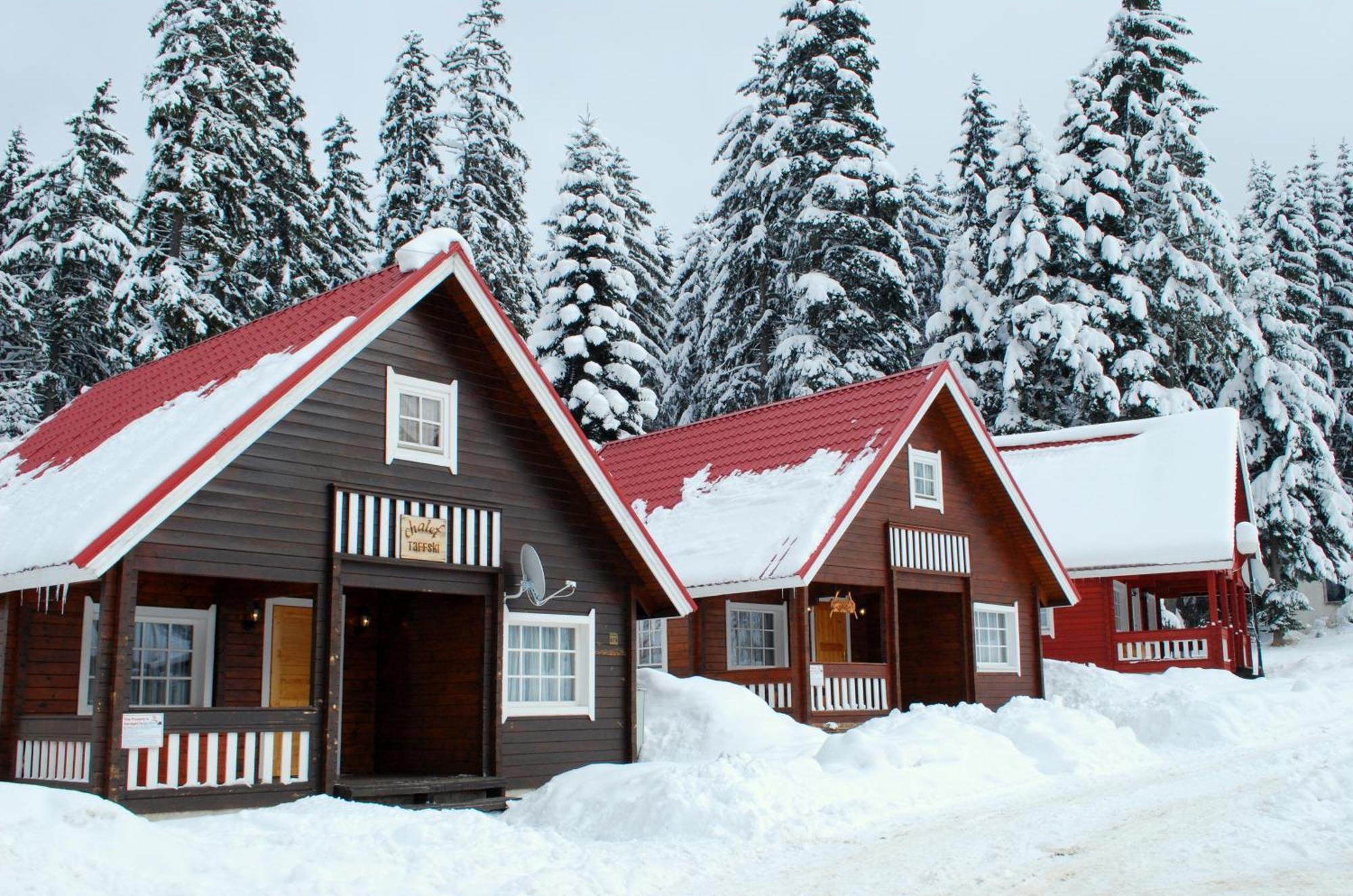 Alpine Ski Chalet Borovets With Sauna Exterior photo