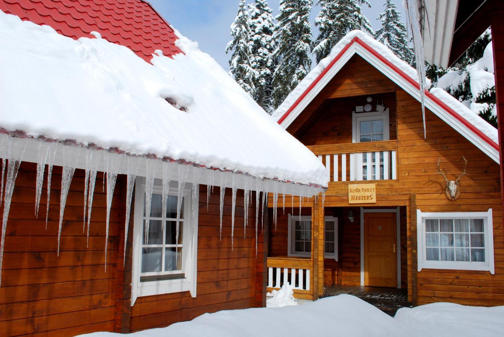 Alpine Ski Chalet Borovets With Sauna Room photo